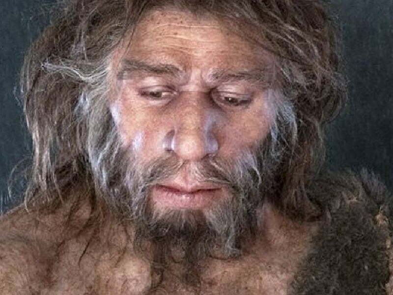 Significant Evolutionary Discovery in 2021. This year we discovered more regarding the connections of our ancestors with Neanderthals and Denisovans, around their attitude towards children, which was meaningful and significant for evolutionary scientists. And we have learned more about the times when the first people appeared in America.